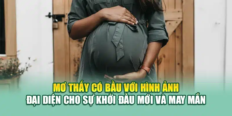 Mơ Thấy Có Bầu - Ý Nghĩa Và Cách Giải Mã Chi Tiết Tại 79king 2 Mơ thấy có bầu với hình ảnh đại diện cho sự khởi đầu mới và may mắn