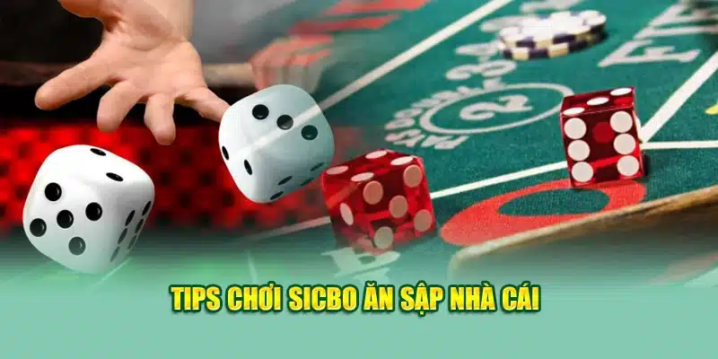 Sicbo - Trải Nghiệm Đặc Sắc, Kết Hợp Hấp Dẫn Tại 79King 3 Tips chơi sicbo ăn sập nhà cái