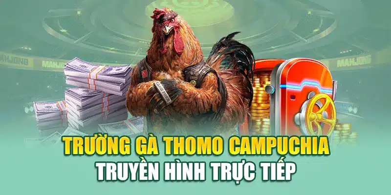Đá Gà Thomo 79king Gay Cấn Từng Pha Ra Đòn Hấp Dẫn 1 Trường gà Thomo Campuchia truyền hình trực tiếp