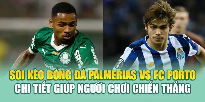 Soi Kèo Bóng Đá Palmerias Vs FC Porto Từ 79king 3 Soi kèo bóng đá Palmerias vs FC Porto chi tiết giúp người chơi chiến thắng